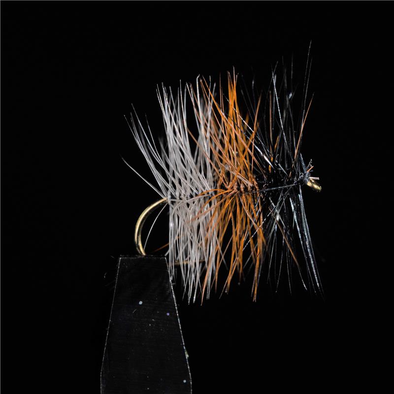 Mouche Jmc Palmers Tricolore Foncée - Par 3