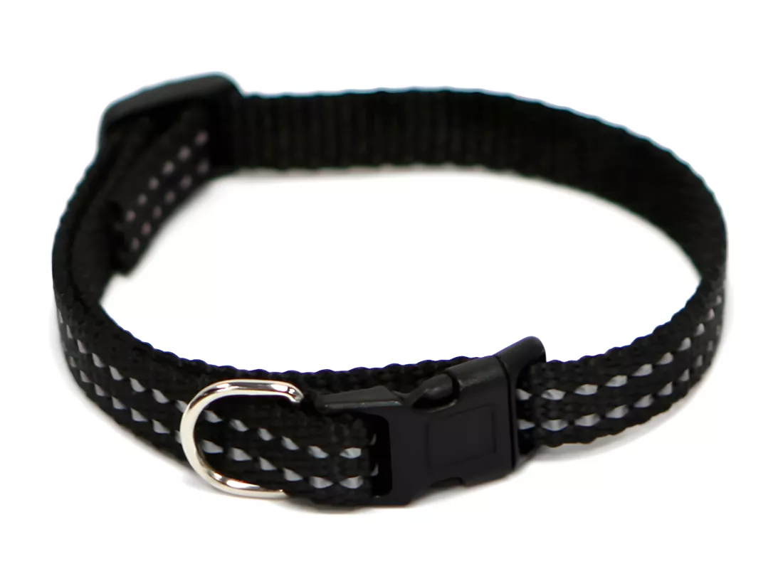 Collier Réglable 