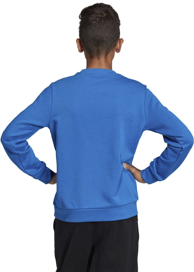 adidas Trefoil Crew sweatshirt Blå