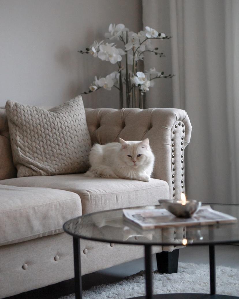 Bank 3-zits CHESTERFIELD Stof Beige