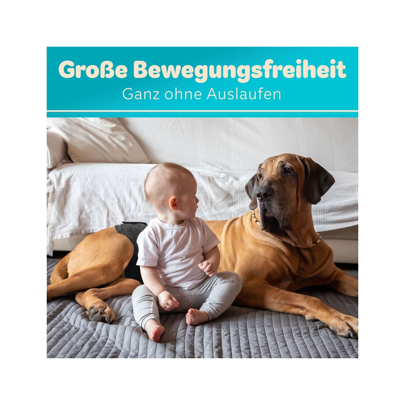 HUND IST KÖNIG Hundewindeln für Rüden [3 STK] Saugstarke Hundewindeln Rüde | Bequeme Hunde Windeln bei Inkontinenz XXL