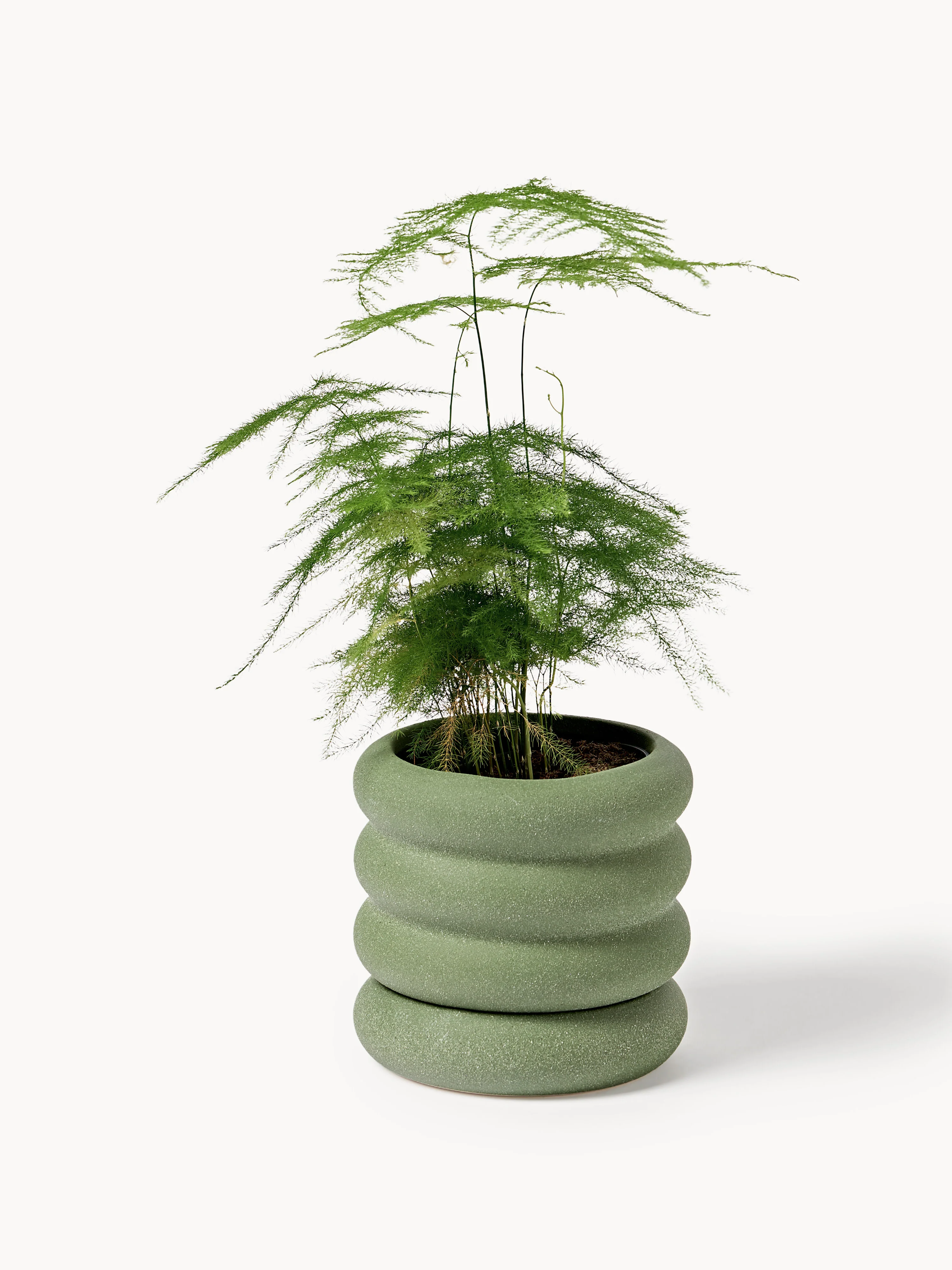 Bloempot Rudi met schotel, H 12 cm