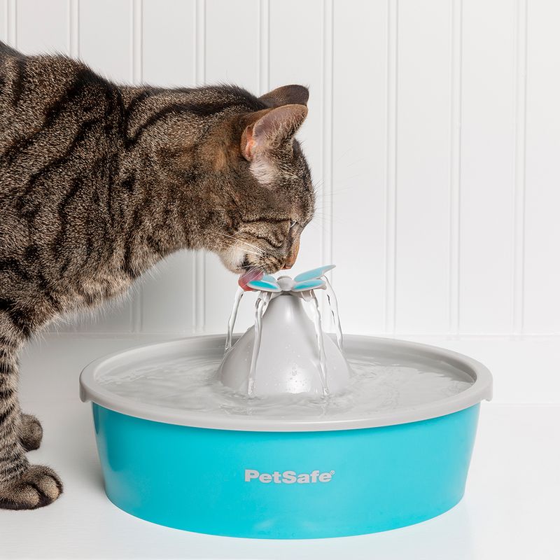 Fontaine à eau PetSafe Drinkwell Papillon pour chat et petit chien