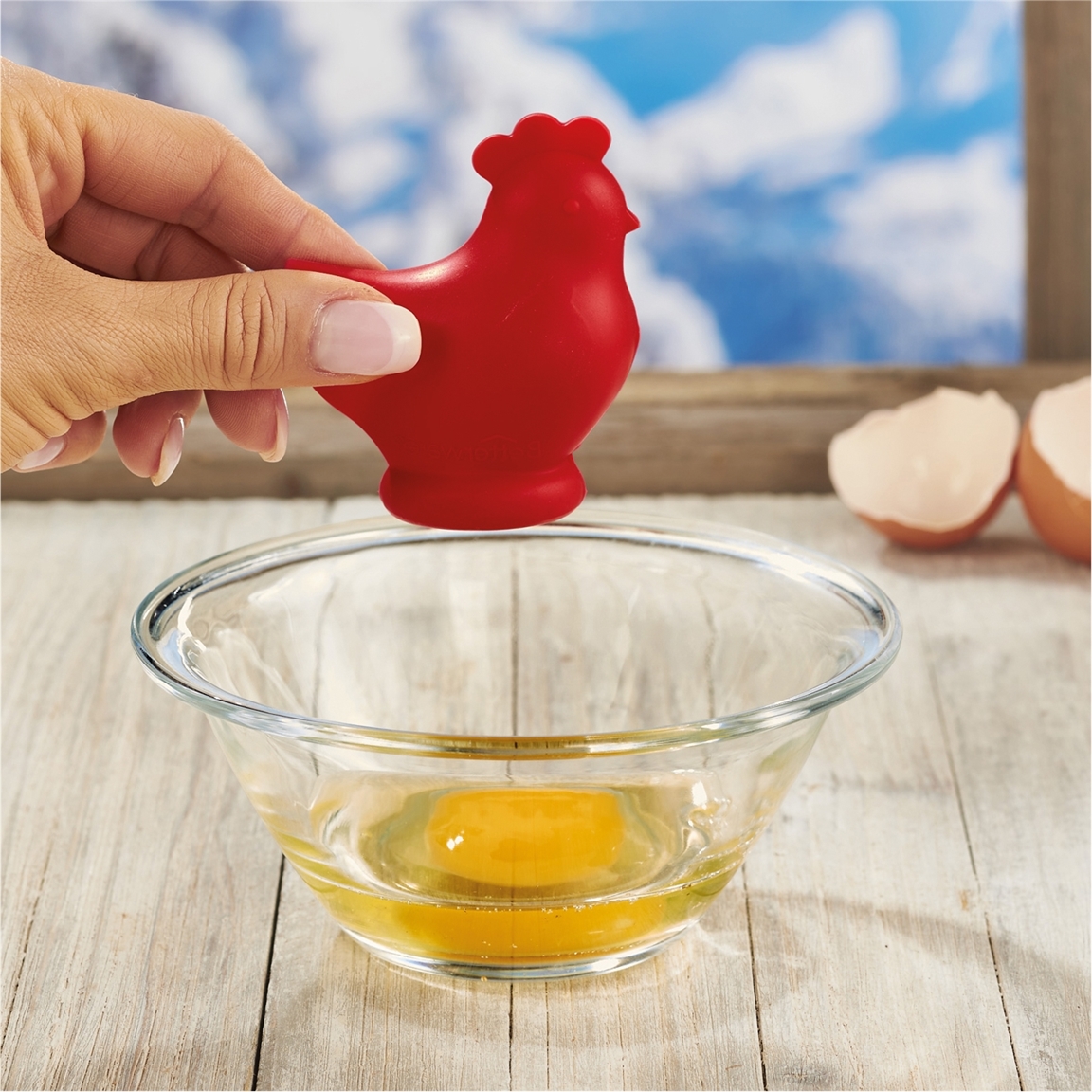 Séparateur oeufs poule