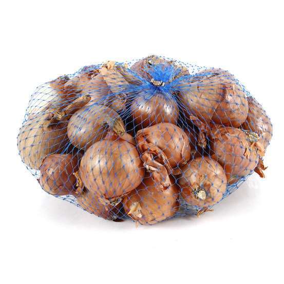 Bulbes d'échalotes 'Red Sun' en filet - 500 g