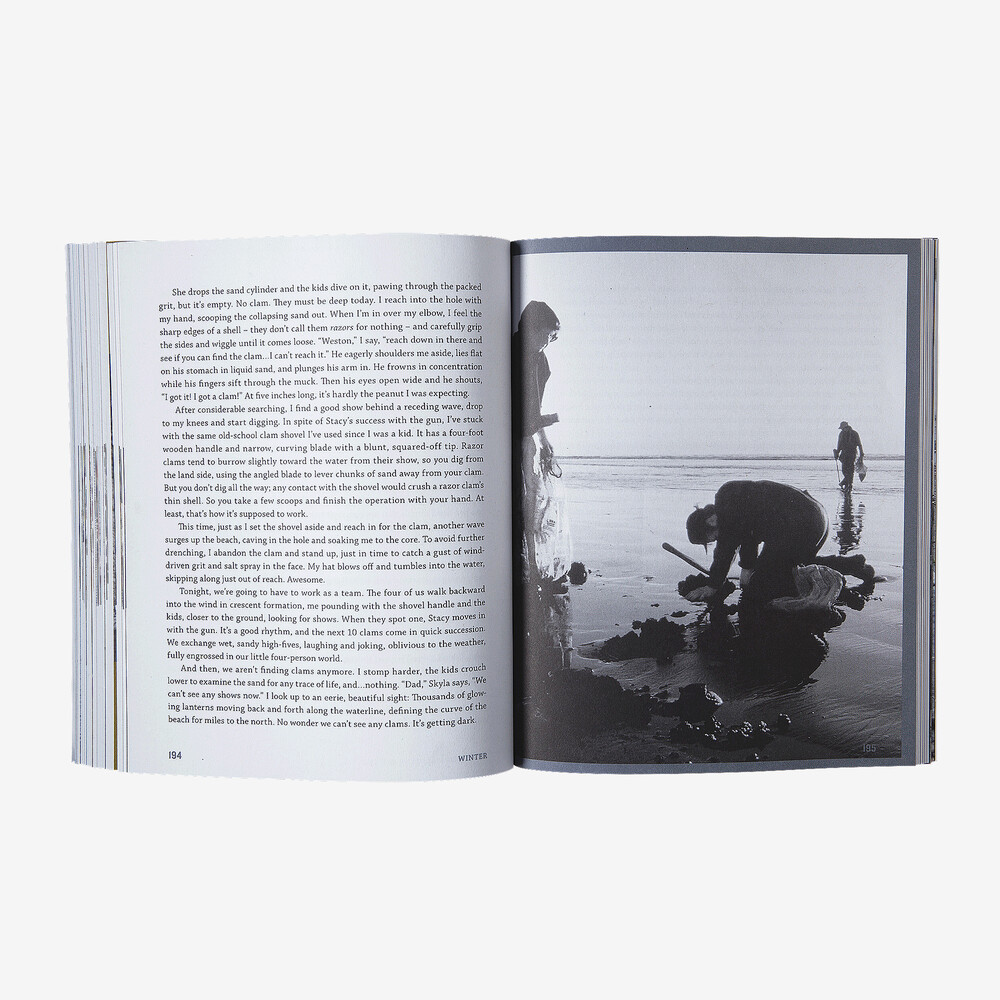 Näher am Boden von Dylan Tomine (Patagonia-Taschenbuch)