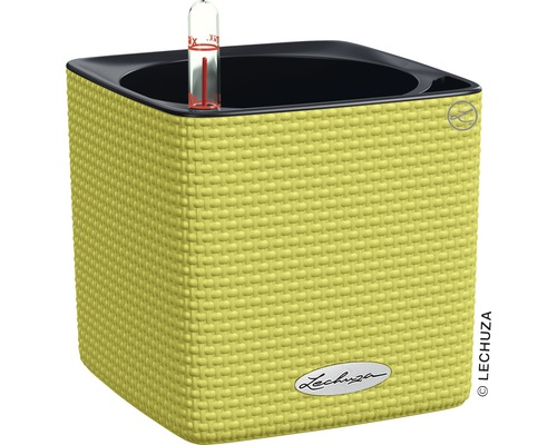 Lechuza Cube Color bloempot van kunststof, 14x14x14 cm, limoengroen, inclusief zelfbewateringssysteem en waterniveau-indicator