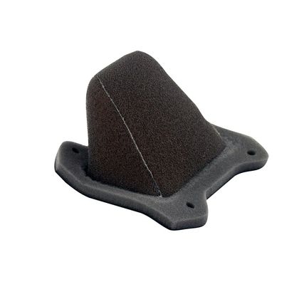 Filtre à air Twin air résistant au feu - 158013FR
