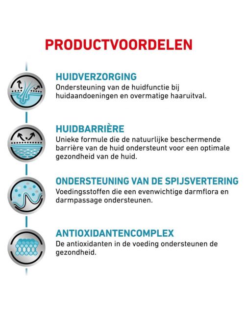 Royal Canin Veterinary Diet Dog Skin Care Adult - Hondenvoer