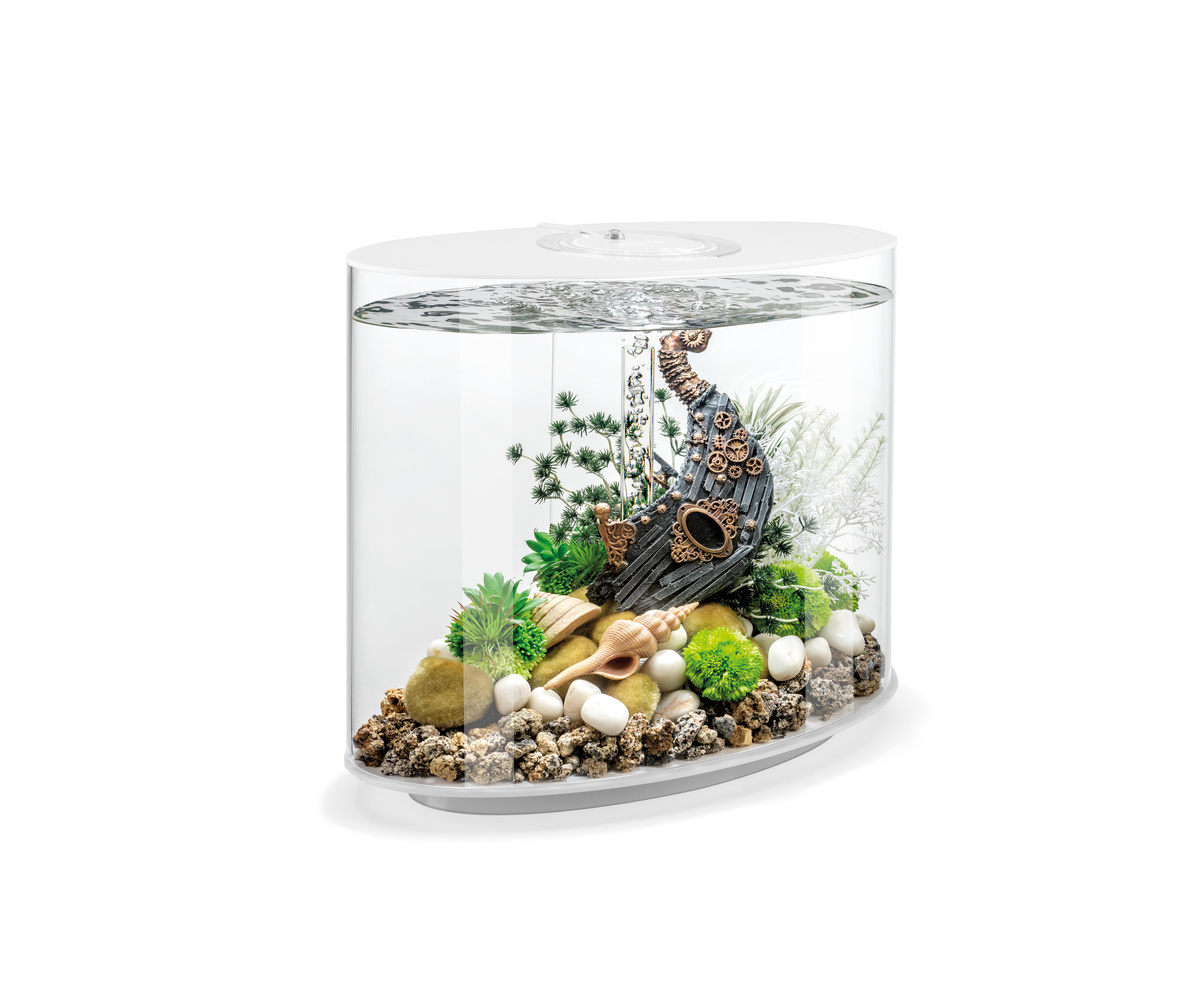 BiOrb LOOP 30 MCR Wit | Aquarium van klein formaat