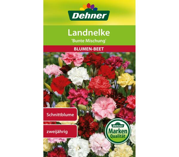 Dehner Samen Landnelke 'Bunte Mischung'