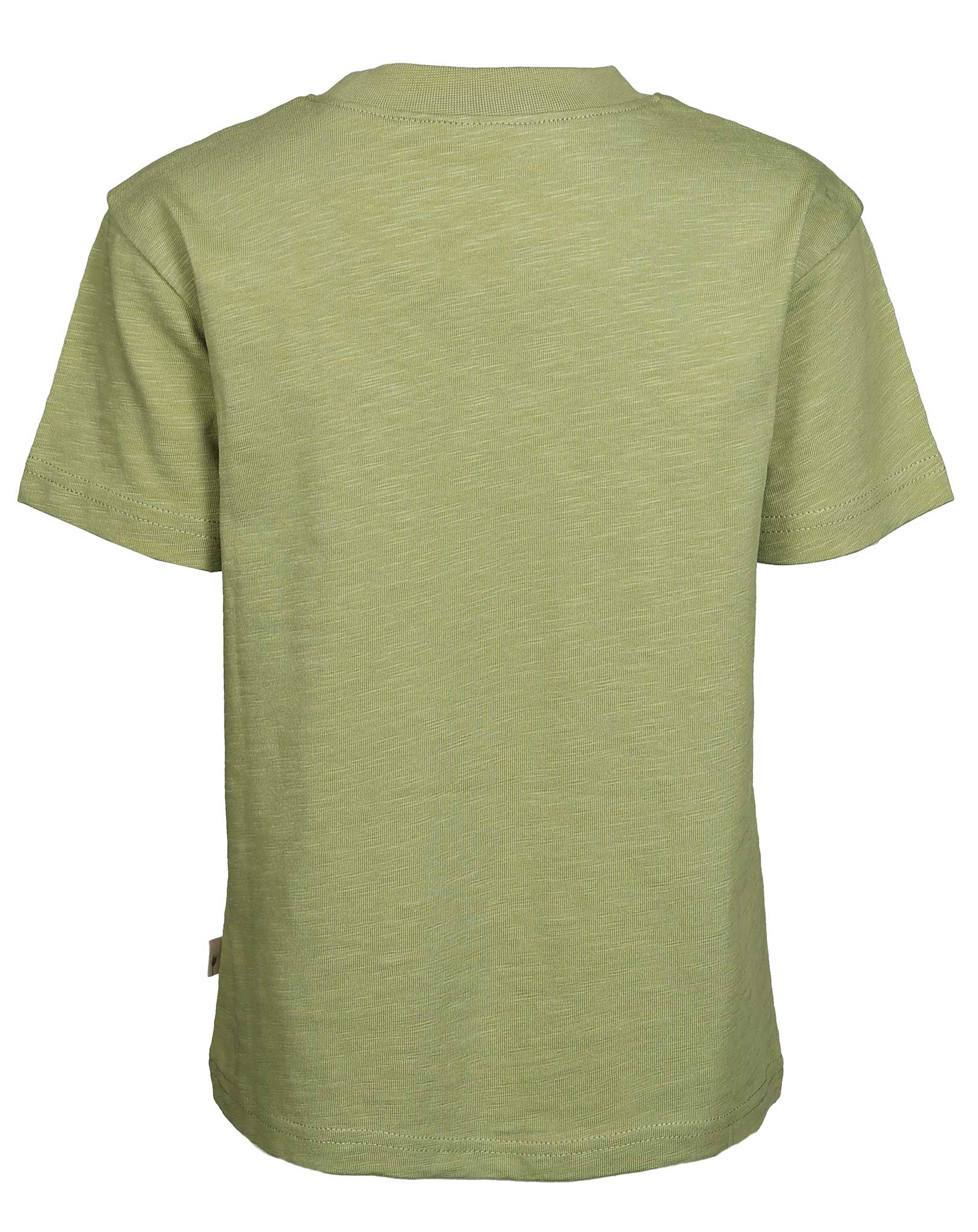 T-Shirt DINES in sage