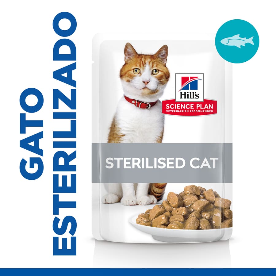 Sachê esterilizado de truta jovem adulta em molho para gatos da Hill's Science Plan