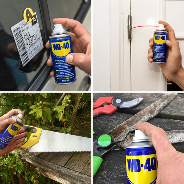 Spray multifonction WD-40 100ml