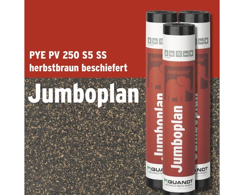 Quandt Bitumen Lasbaan Jumboplan® PYE PV 250 S5 leisteen gecoat herfstbruin 5 x 1 m rol = 5 m²
