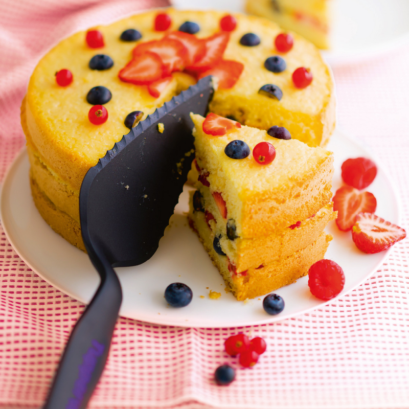 Torten- und Kuchenset (3) Der Tortenbehälter mit dem Twist mit Tortenheber und Schneidunterlage - überall Kuchengenuss