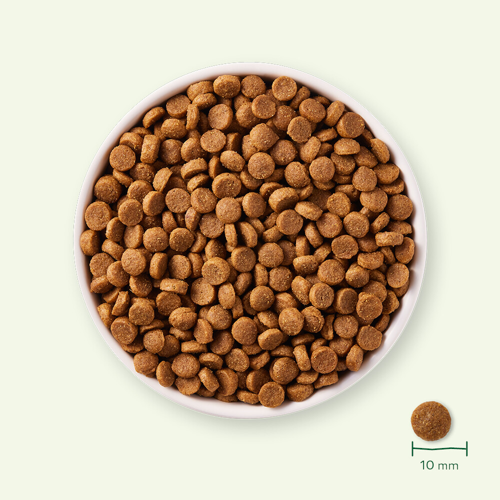 Yarrah Bio Hondenvoer Puppy Kip2 kg