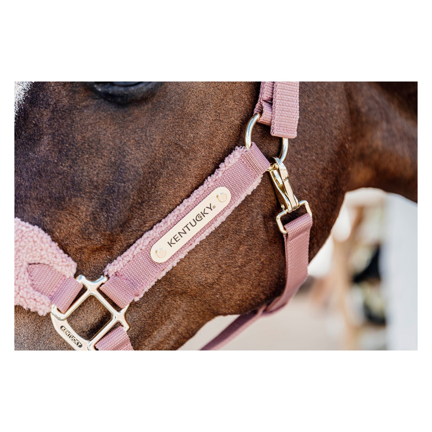 KENTUCKY Teddyfleece-Halfter - old rose