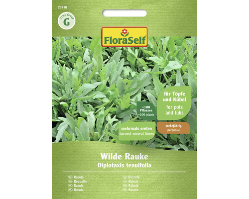 Rucola, Wilde Rucola, Flora, Zelfbestuivende Zaden, Groentezaden, Salade Zaden