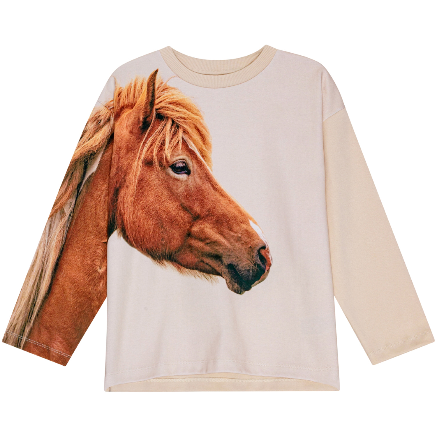 Mountoo - Pony Friend