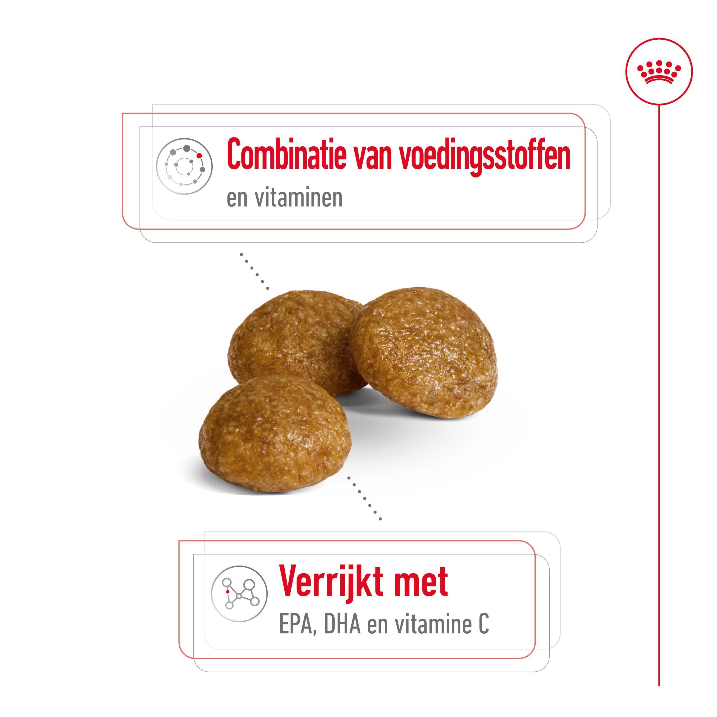 Royal Canin X-Small Adult 8+ - Hondenvoer