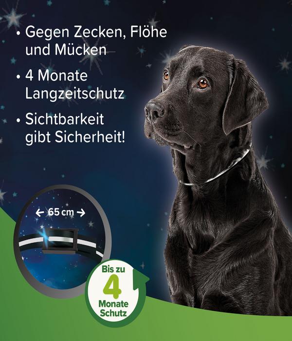 beaphar Zecken- und Flohschutzband für Hunde,