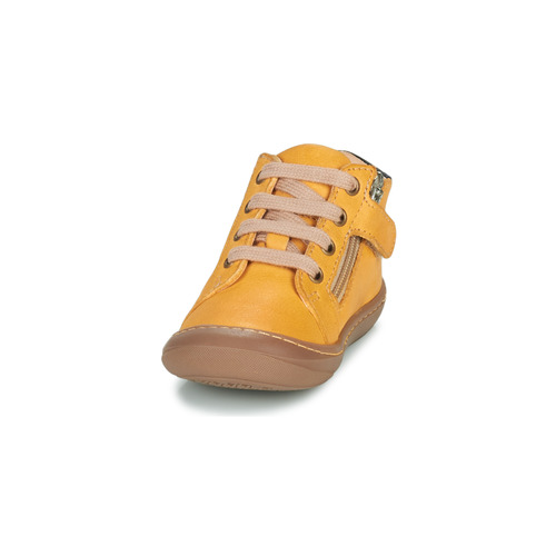 GBB - APODAMI - Jaune
