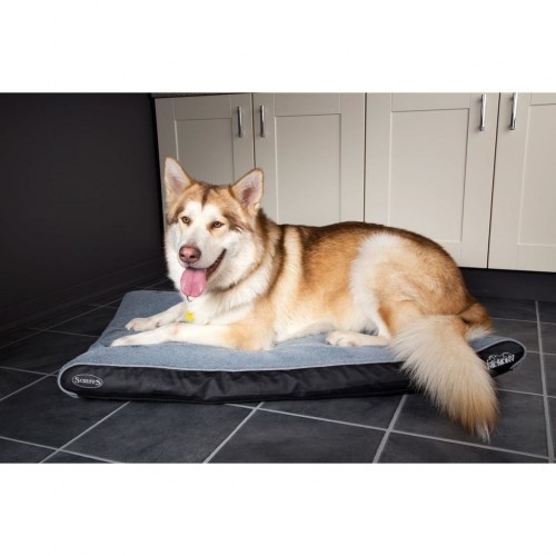 Cama ortopédica para cães, cinza