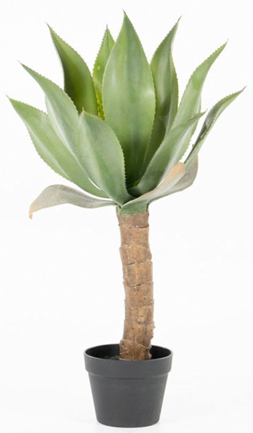 Kunstplant 403090 Agave B46 x D46 x H81.5 cm