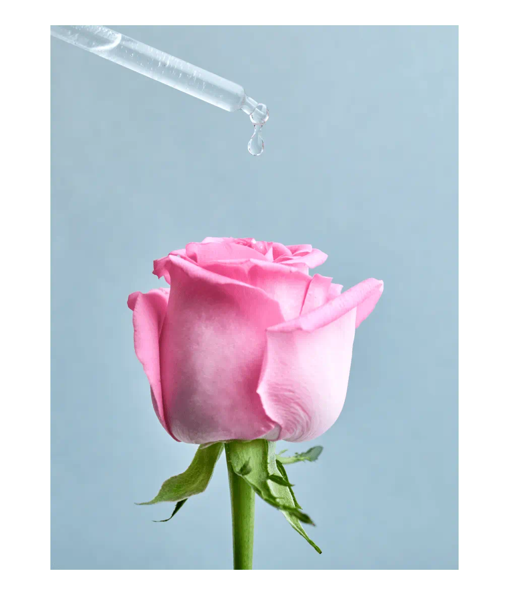 EAU MICELLAIRE DÉMAQUILLANTE BIPHASE NIVEA EAU DE ROSE