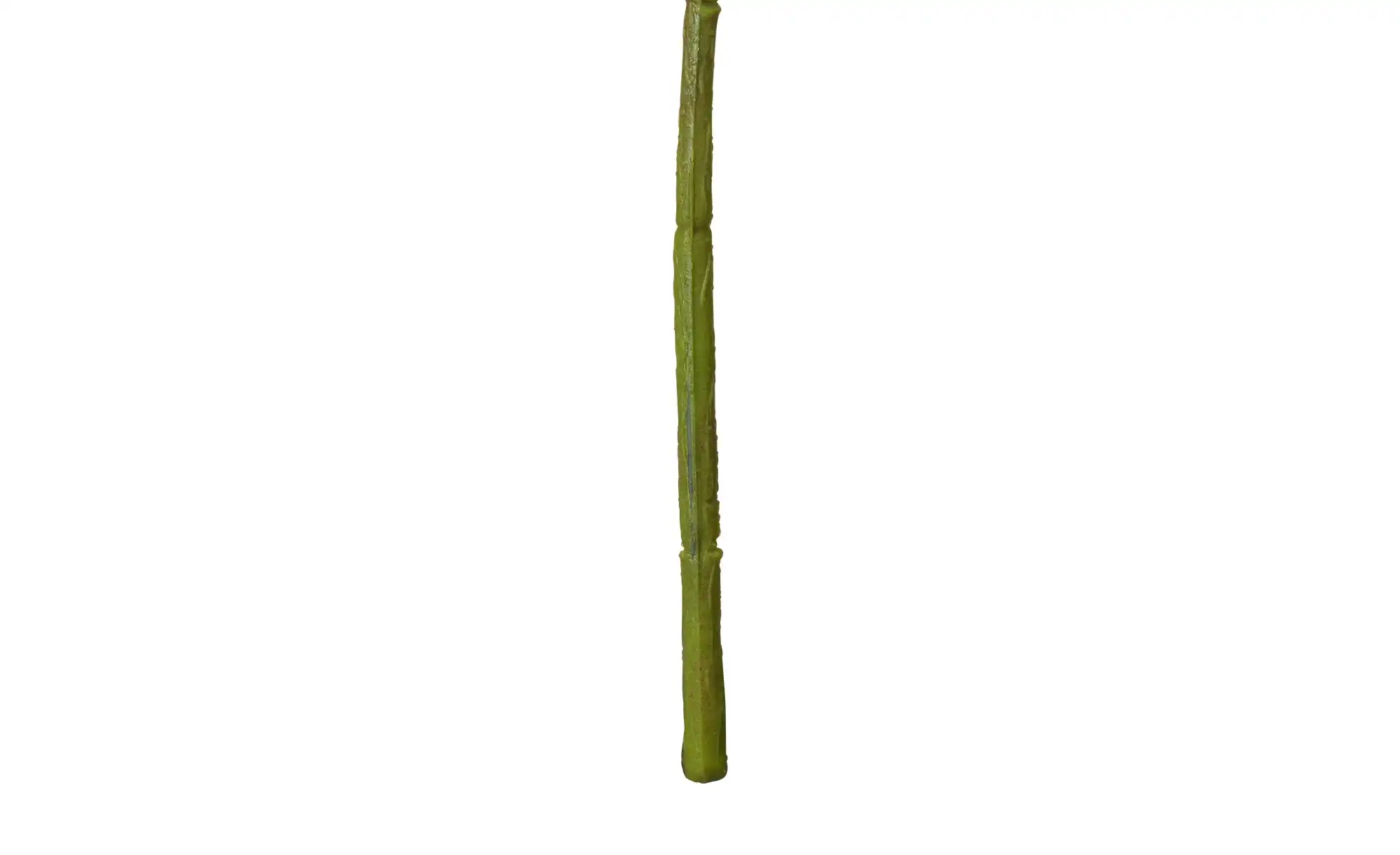 Beerenpick Zweig
