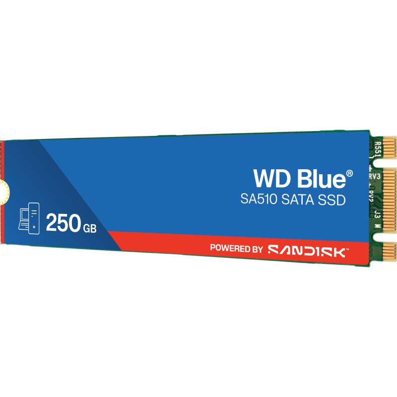 Western Digital Blue WD SA510 250 Go M.2 Série ATA III