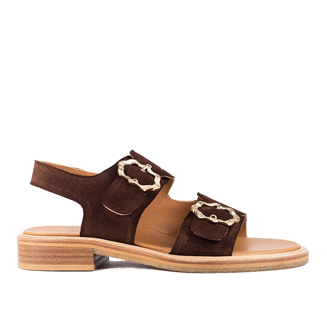 Angulus Sandal nut