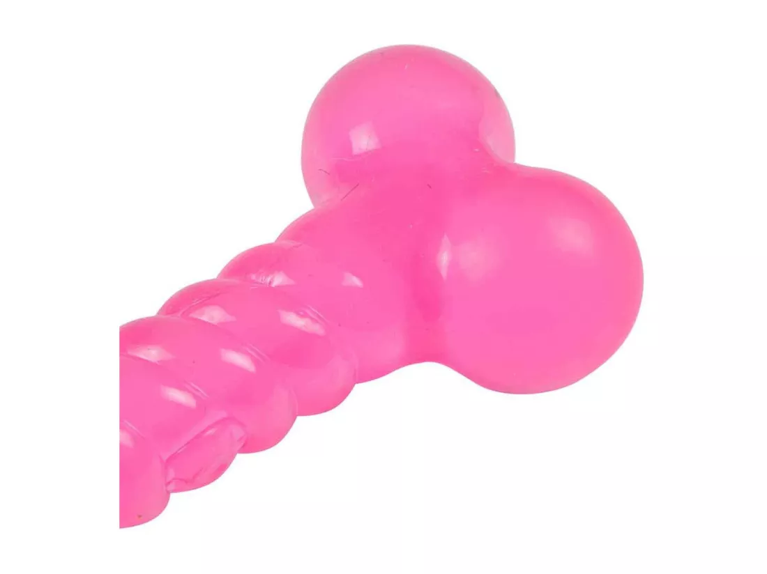 Lot de 2 Jouets pour Chien 