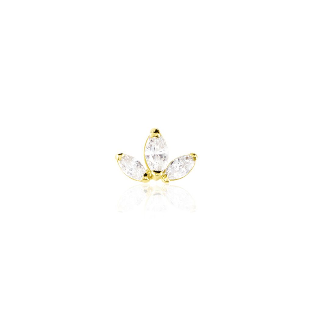 Piercing D'oreilles Asclepias Or Jaune
