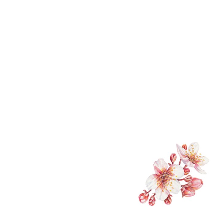 Verjaardagskaart | Bloemen | Vlinders | Lucht