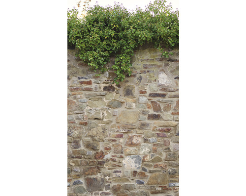 Vliesbehang 39247-1 The Wall II Broken Stone Wall Ivy Cream 3-delige set 159 x 280 cm