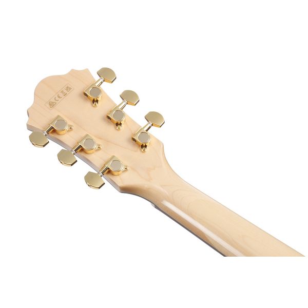 Ibanez AE390-NTA