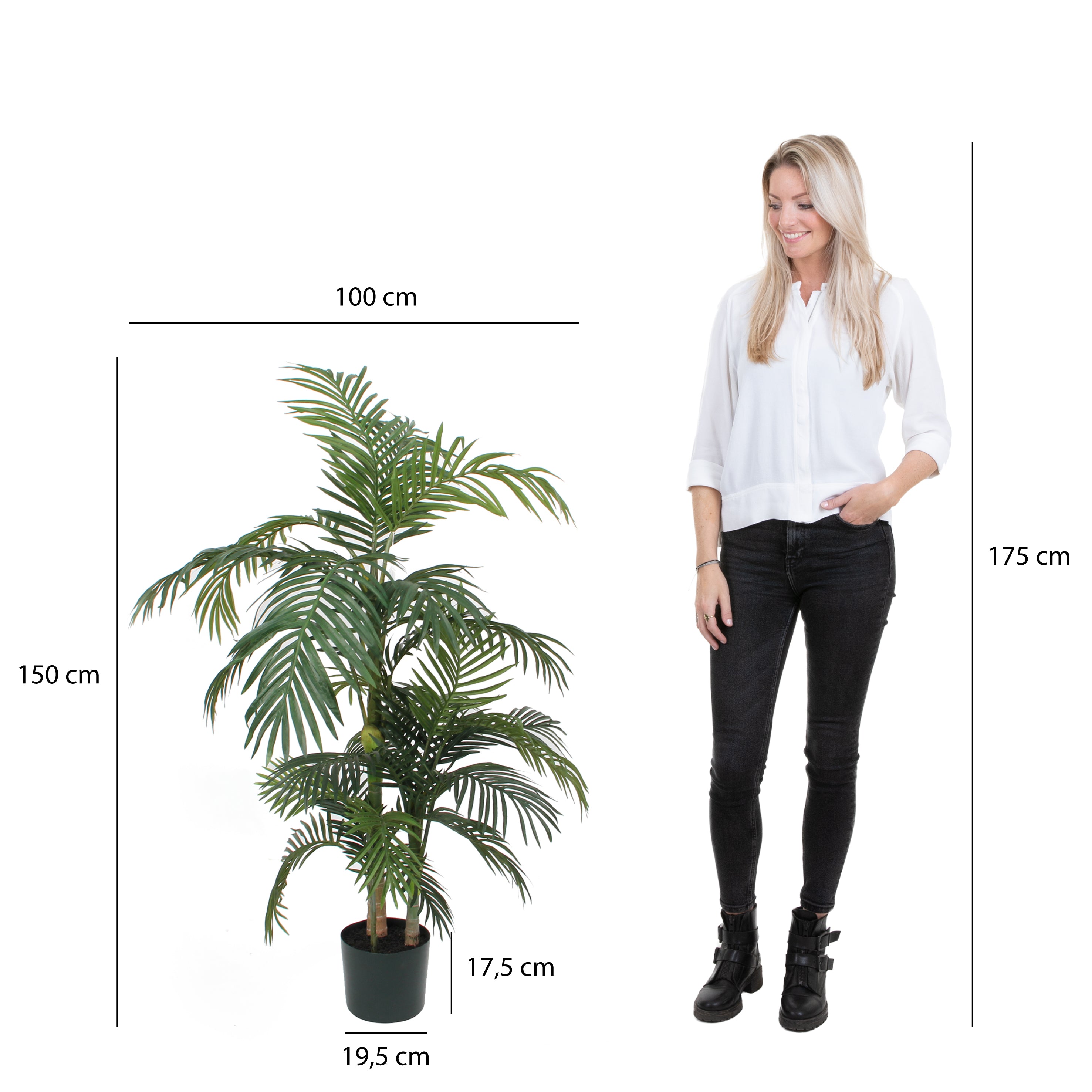 Mica Decorations Areca palm groen in plastic pot - h150xd100cm