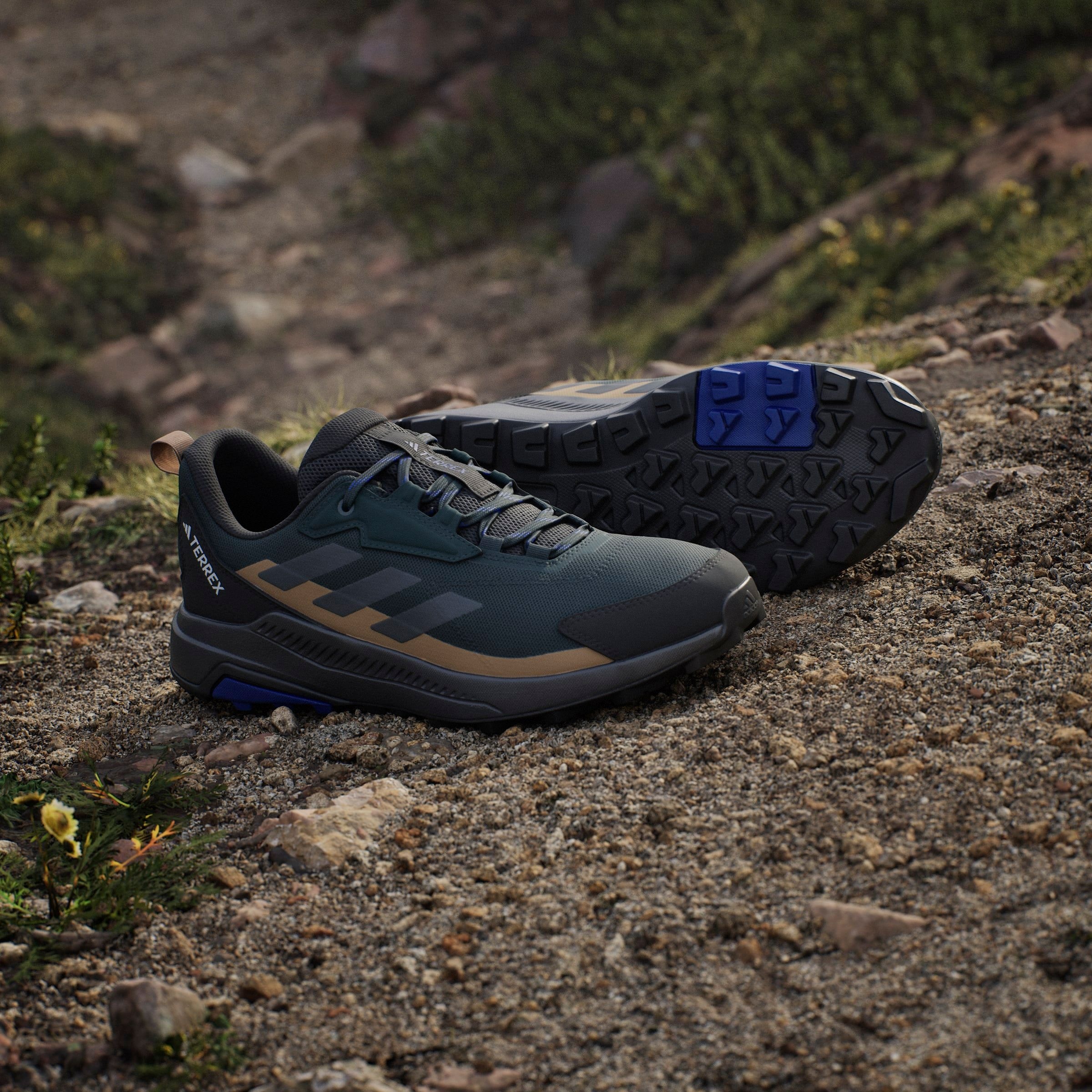 adidas TERREX Wanderschuh »TERREX ANYLANDER«