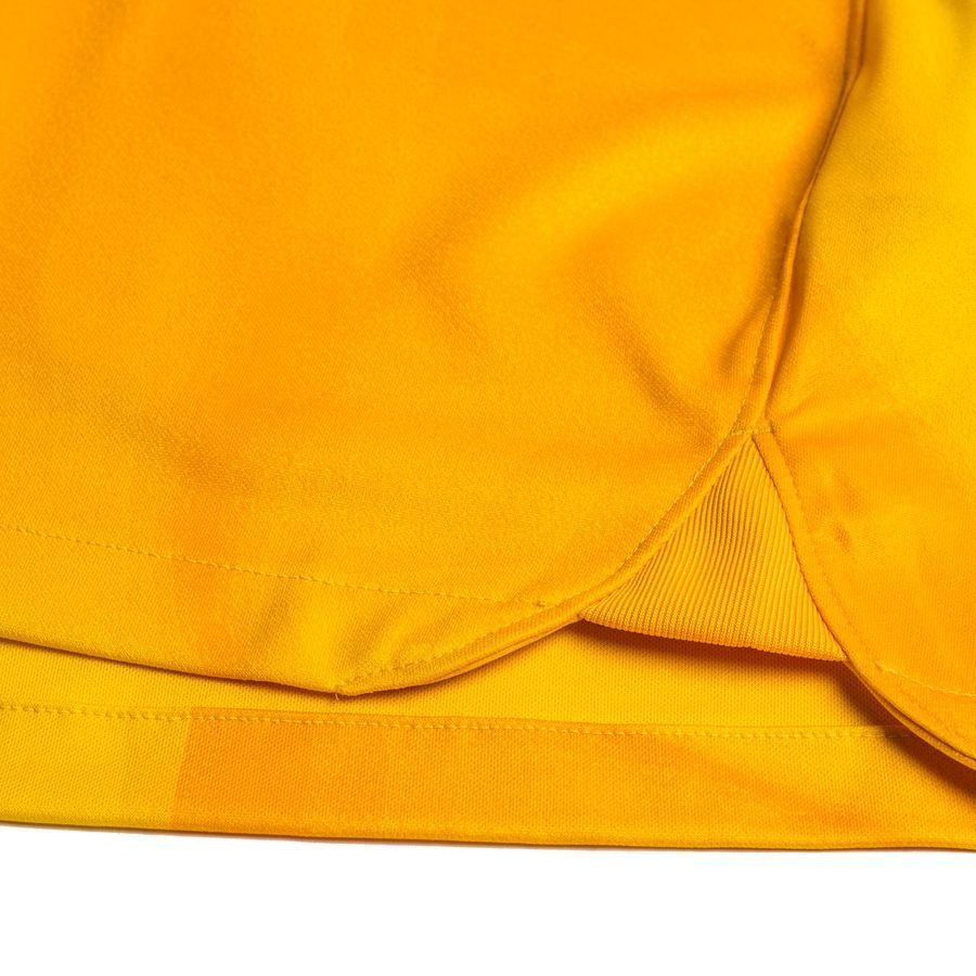 Nike Maillot de Gardien Dri-FIT ADV Gardien IV - Jaune/Jaune Doré/Noir