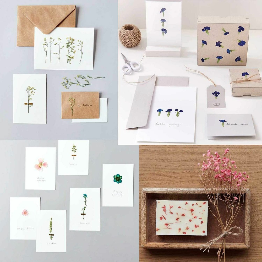 Kit de 5 bouquets de fleurs séchées et pressées