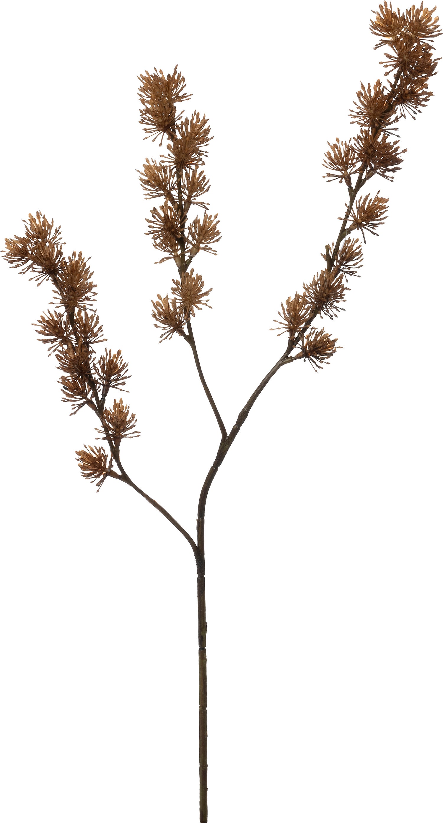 Intratuin kunstbloem Distel bruin 67 cm