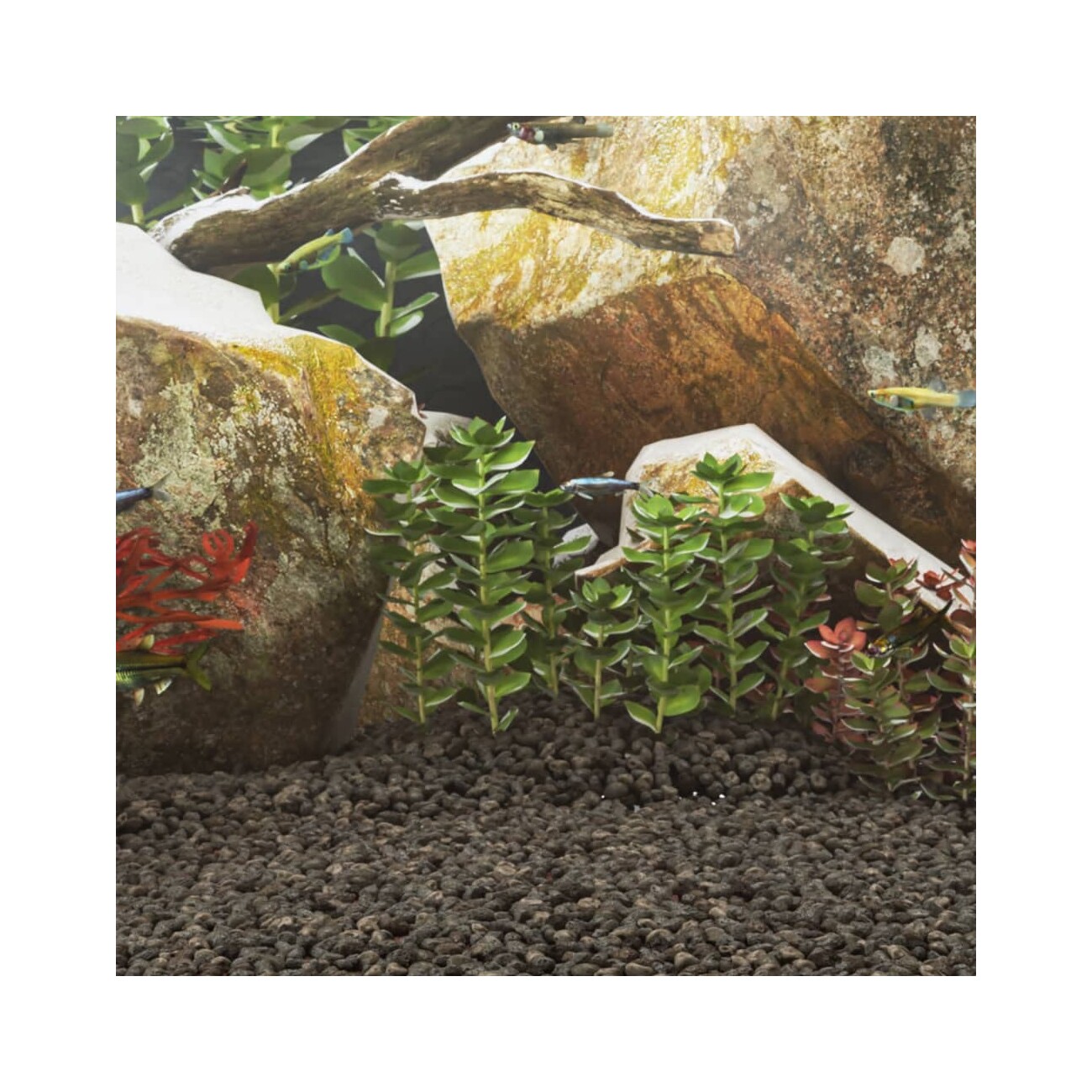 VidaXL Vulkangestein Schwarz 1-2 cm 10 kg