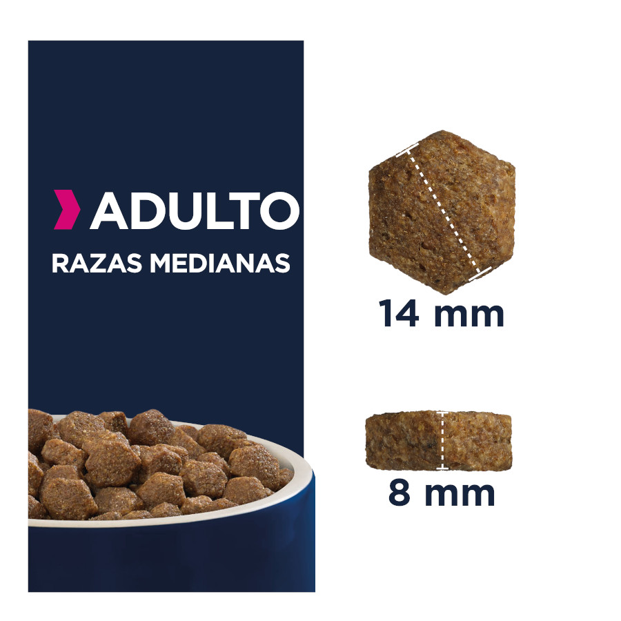 Ração Eukanuba para Cães Adultos de Porte Médio com Frango