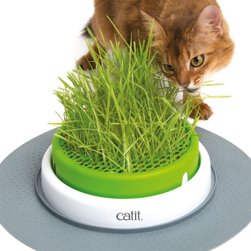 Jardinière d'herbe à chat Catit Senses 2.0
