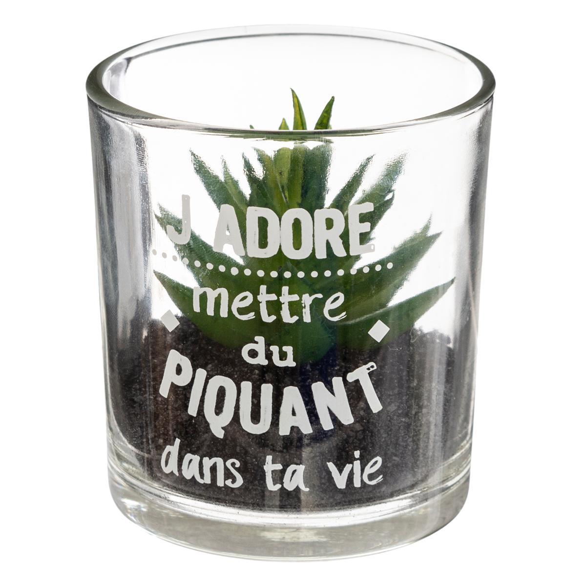 PLANTE POT MESSAGE D.7X8CM