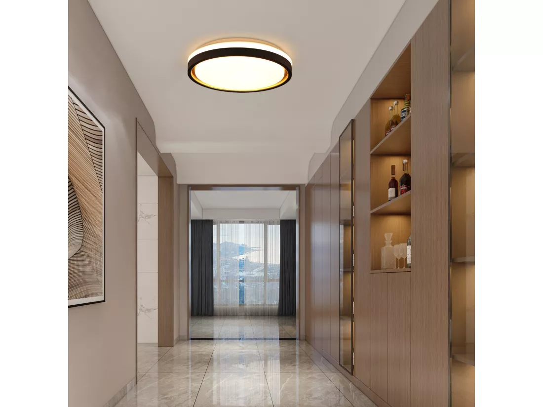 NETTLIFE Lampe plafond LED chambre, Ø30cm, réglable, 18W, télécommande, noir/or, design moderne