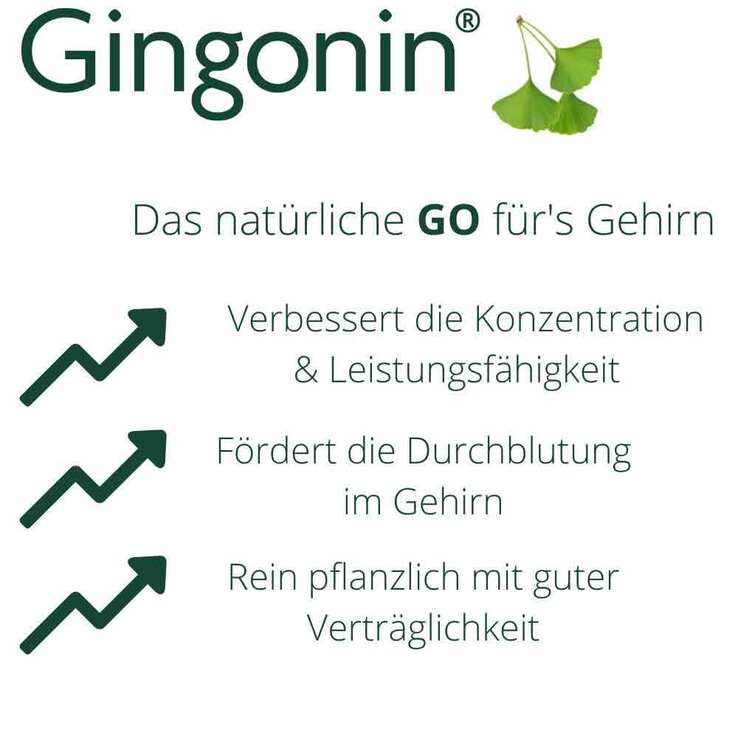 Gingonin® 120 mg Hartkapseln, 30 St