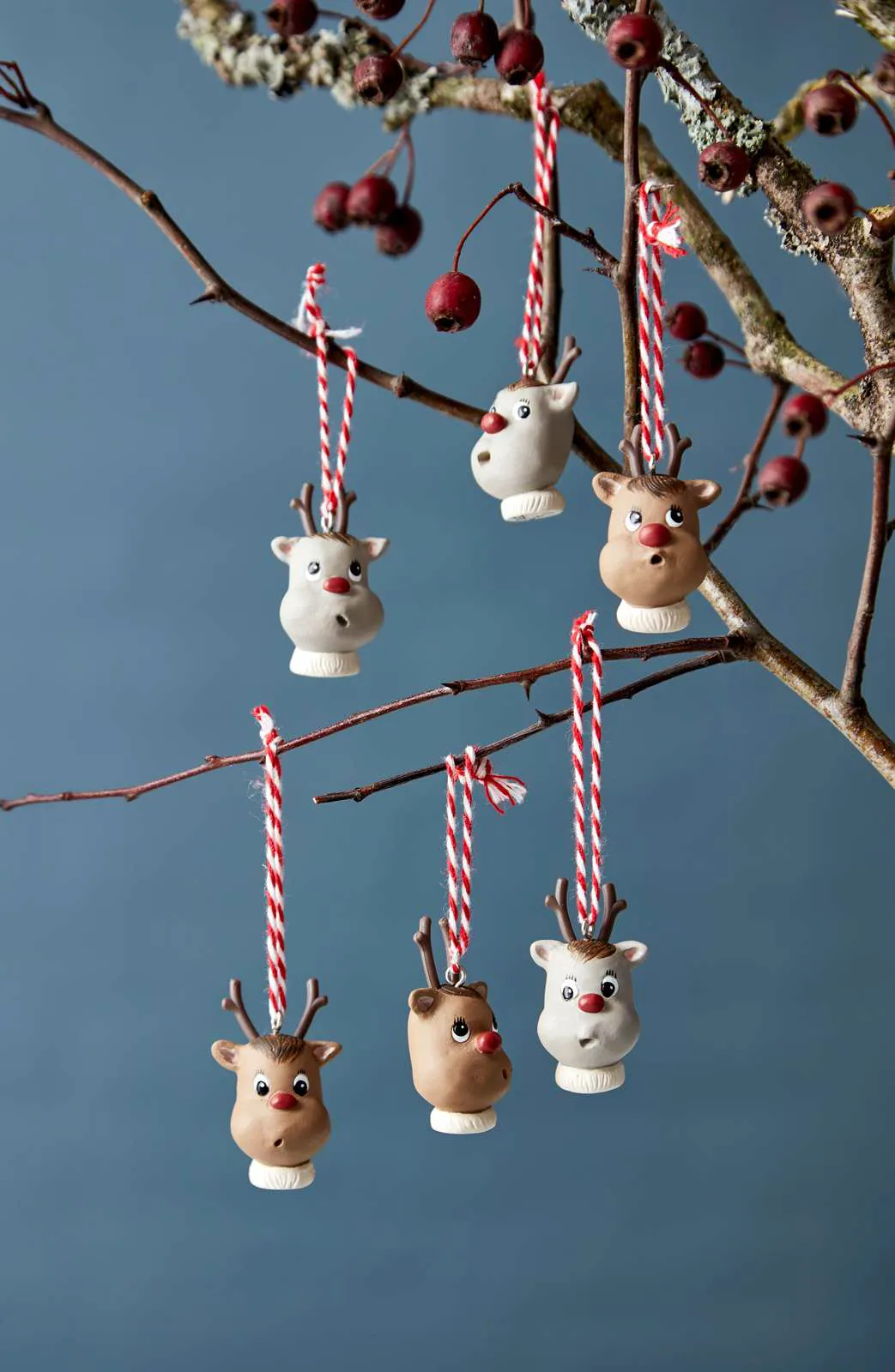 Klarborg Juleophæng - Rudolf & venner
